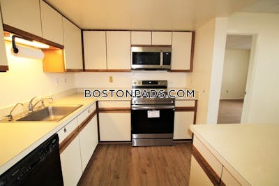 Allston Apartment for rent 2 Bedrooms 2 Baths Boston - $3,200 No Fee